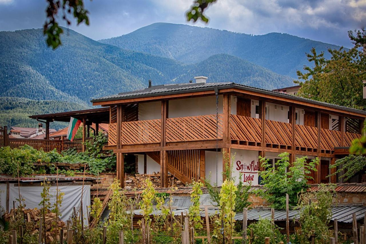 Къщи За Гости Сноуфлейк Snowflake Chalet And Snowflake Lodge Bansko Exteriér fotografie